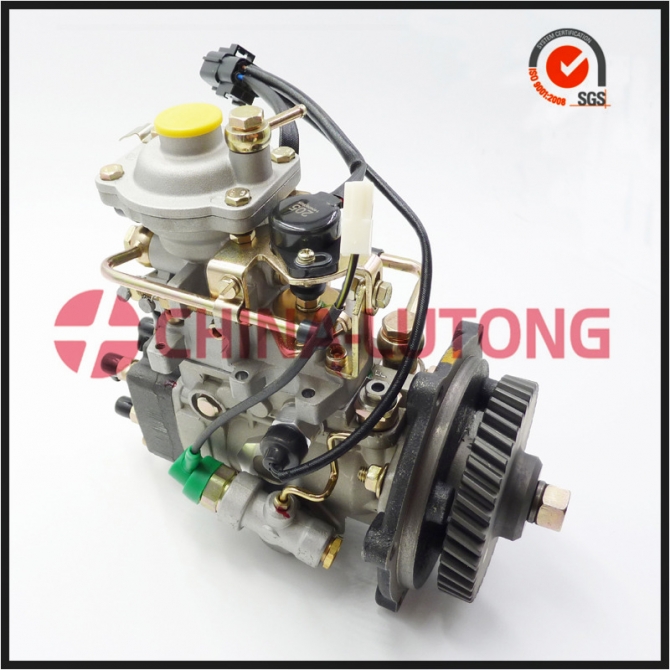 VE Diesel injection pump Nj-Ve411e1800L047 for JAC 4934da1-1b.